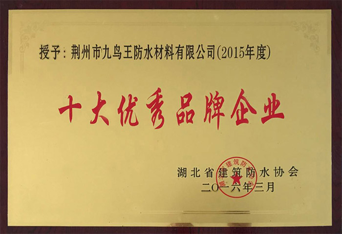 十大優(yōu)秀品牌企業(yè)（2016年）